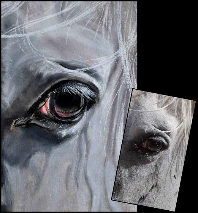 portrait cheval-blanc.jpg - Pastel   format /size 30x40